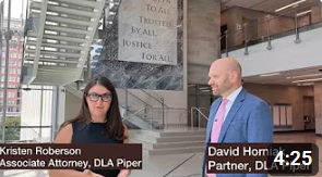 ProBono Video Link Screenshot